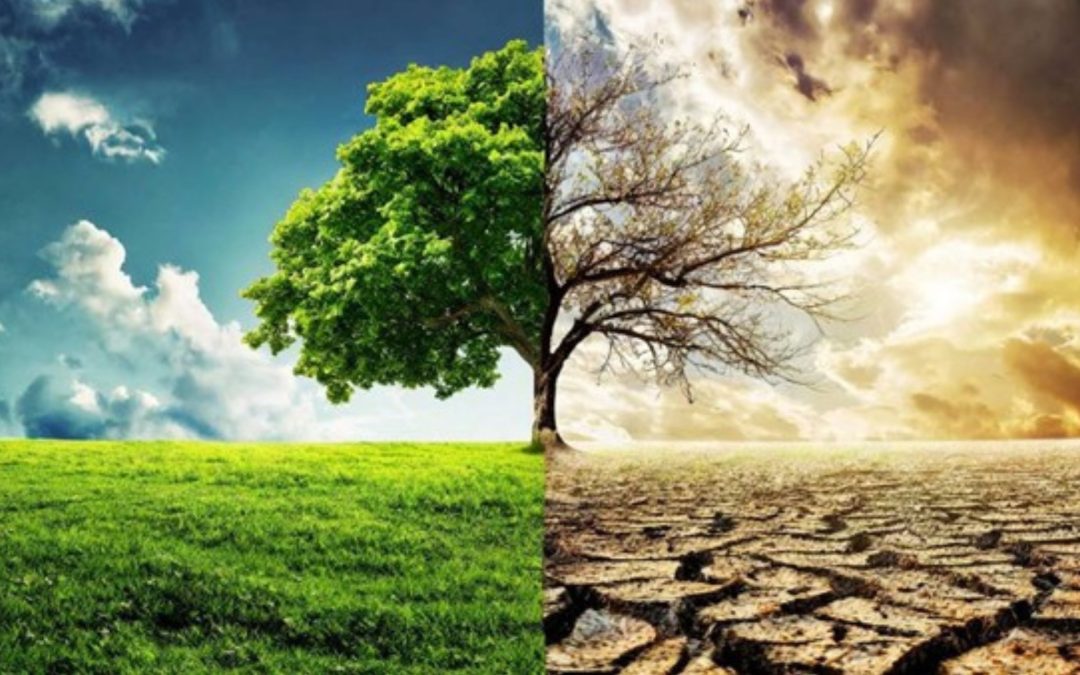 Quand précarité rime avec débrouille : pourquoi l’écologie commence chez nous