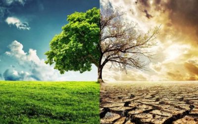 Quand précarité rime avec débrouille : pourquoi l’écologie commence chez nous
